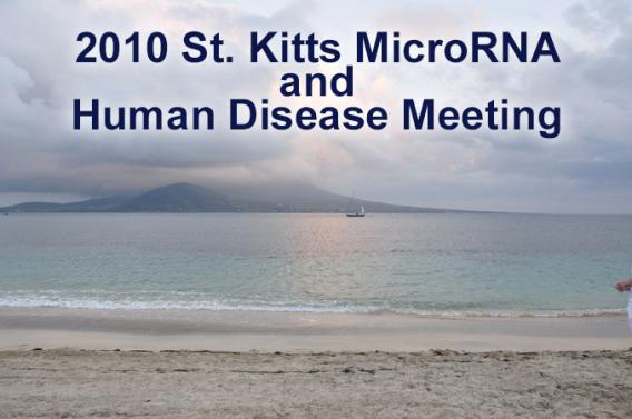 2010 St Kitts microRNA Meeting