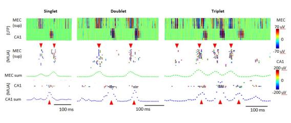 Investigation of Reciprocal Inter-Regional Neural Dynamics