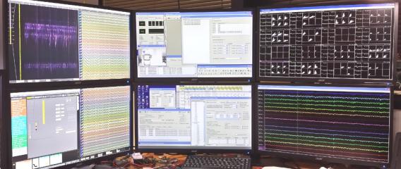 448 Channel in vivo Recording System for Freely Behaving Mice