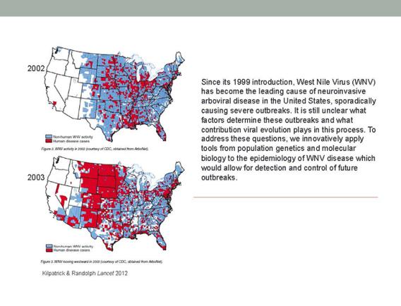 West Nile virus map