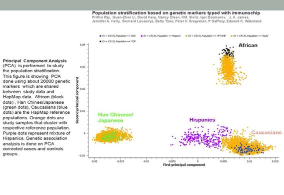 Population stratification based on genetic markers