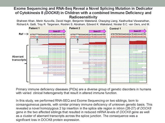 Exome sequencing  & RNA-seq