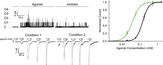 Quantitative Electrophysiology
