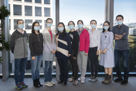 Lab photo 2020