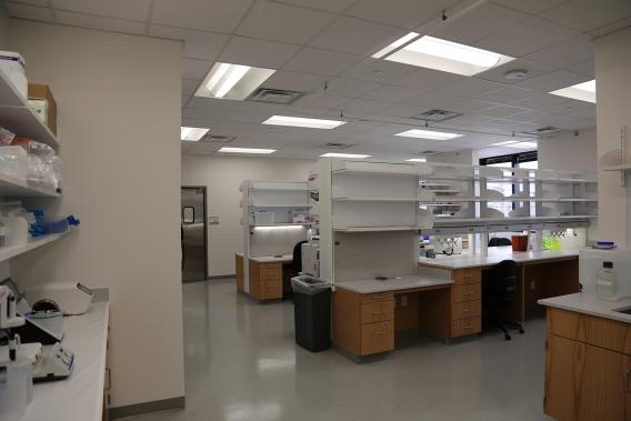 Lab benches