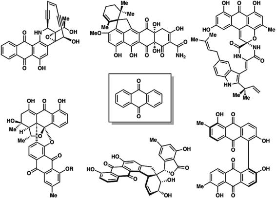 Recent Total Syntheses of Anthraquinone-Based Natural Products