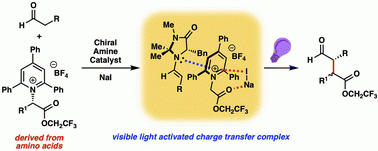 Catalytic photochemical enantioselective alkylation with pyridinium salts