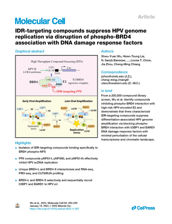 IDR-targeting compounds