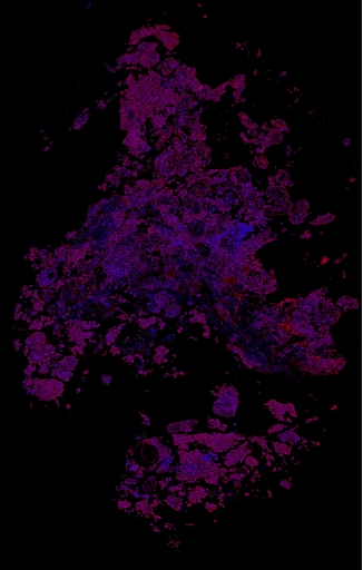 research image