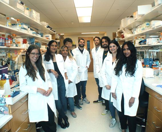 All together in the lab