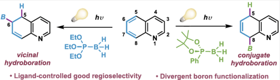 Chao/Chenyan hydroboration