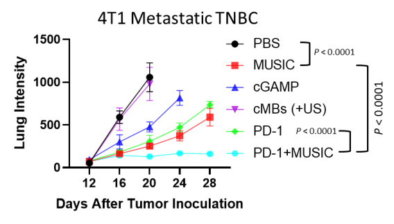 4T1 Metastatic TNBC