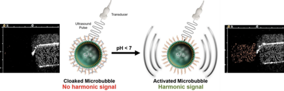 Cloaked vs Activated Microbubble
