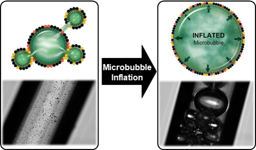 Microbubble inflation