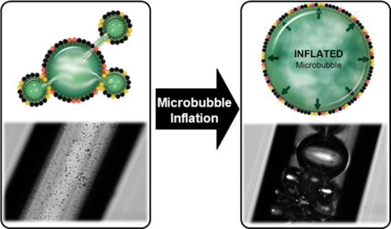 microbubble inflation