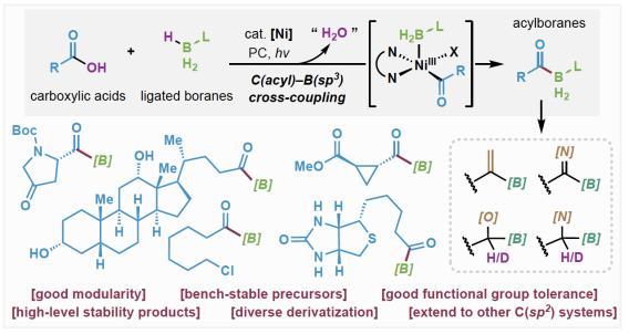 Chenyan acetyl borane