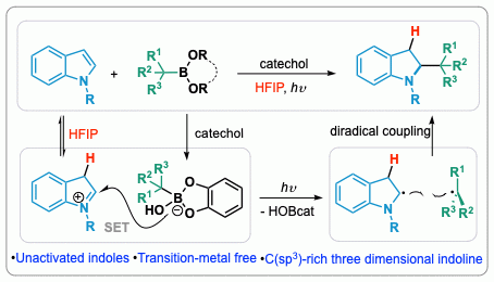 Chao Renzhe Indole Alkylation