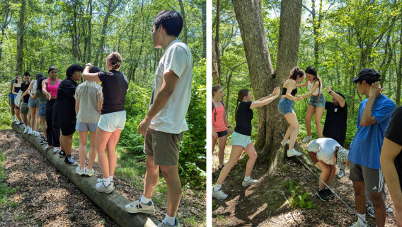teambuilding 