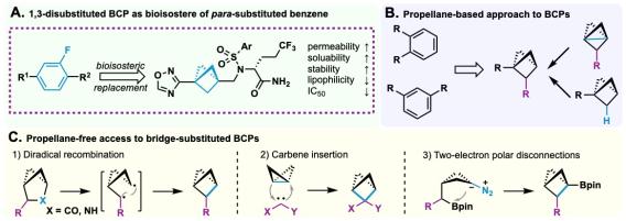 Chang propellane-free review