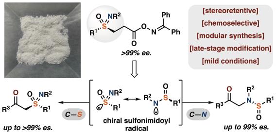 Renzhe chiral sulfur radical