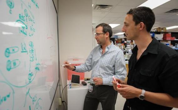 Lab members working at whiteboard