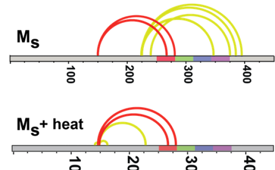 Cross-linking map