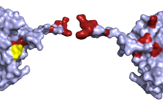 Genetic Mapping