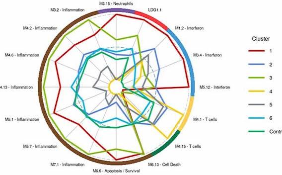 Chong Lab graph