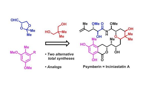 Total Synthesis of Natural Products