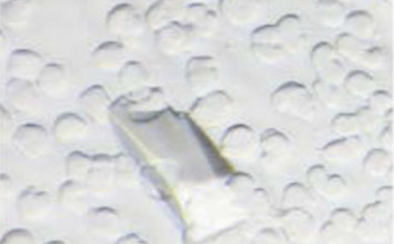 Microscope slide