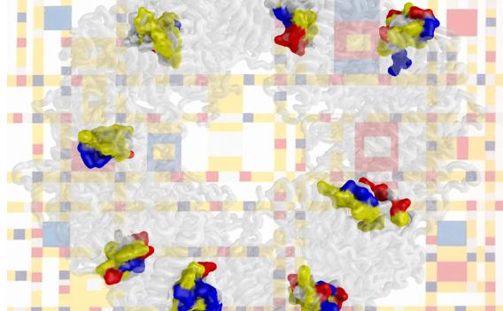 Protein space-filling model