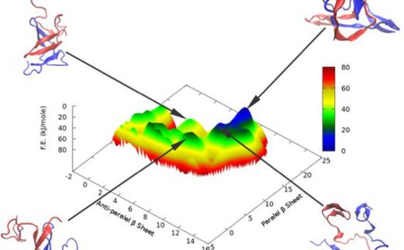 Conformation space at a molecular level