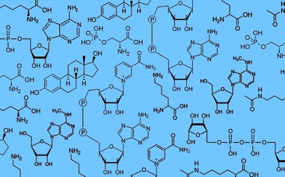 Chemical structures of estradiol, NAD+, and other molecules