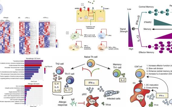 Scientific flow chart and diagrams