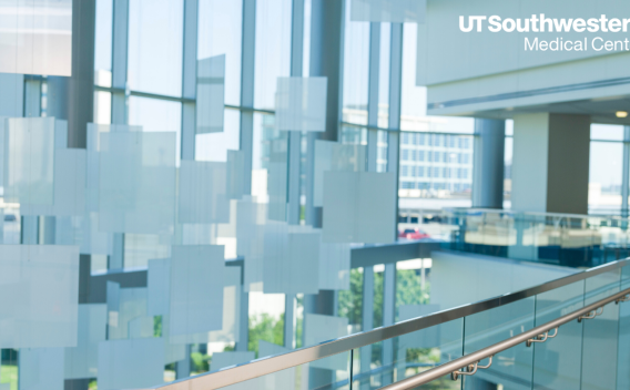 An artistic light fixture hanging in a UT Southwestern Medical Center building.