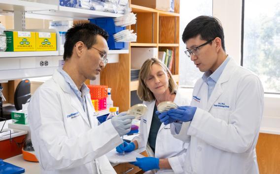 Two men with short dark hair and glasses and one woman with blond hair examining petrie dishes in a lab.