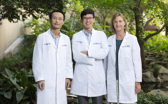 Two men with short dark hair and one woman with blond hair, standing outside wearing lab UT Southwestern lab coats.