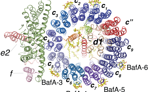 Xie lab research