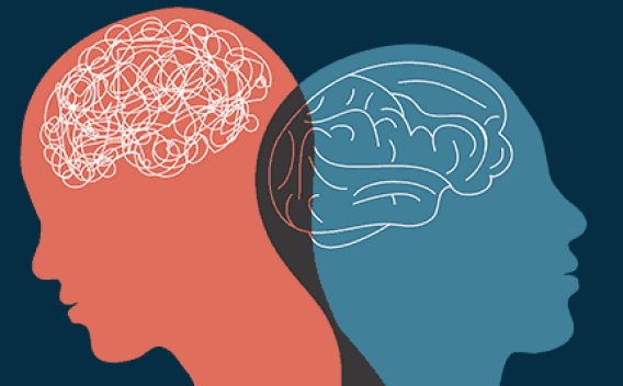 Dual Diagnosis Brains