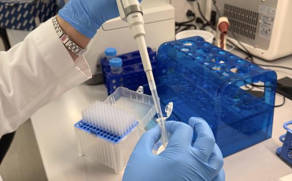 Researcher pipetting in a laboratory