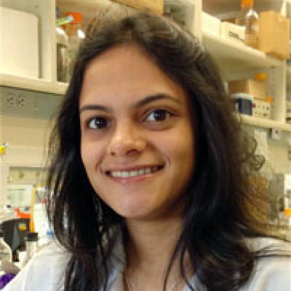 Maithili Dalvi, Ph.D.