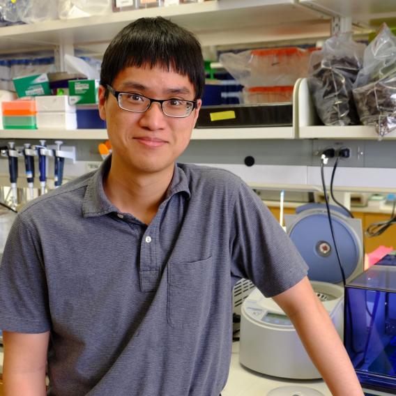 Ryan Huang, B.S.