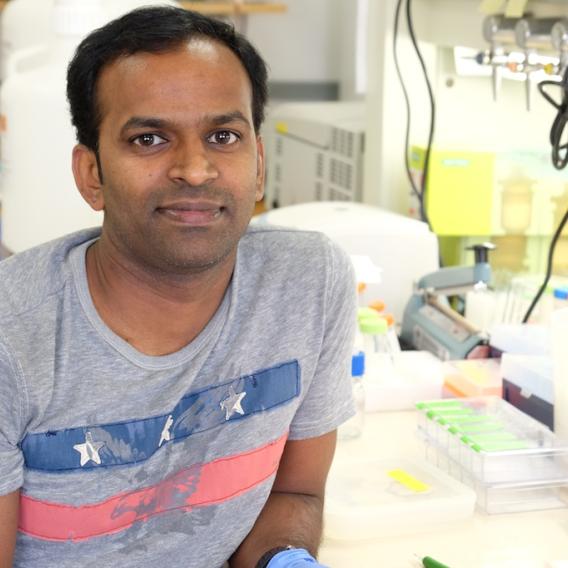 Vijaya Gonugunta, Ph.D.