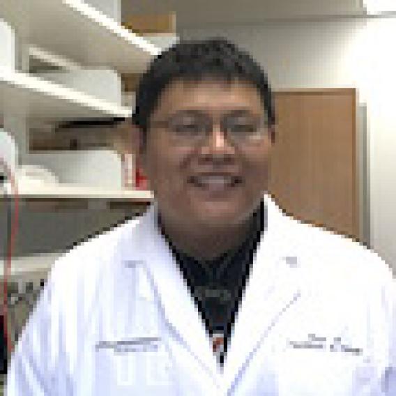 Shuai Liu, M.D., Ph.D.