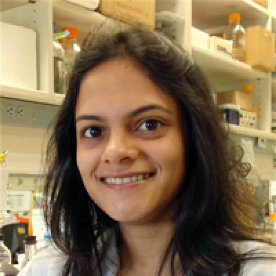 Maithili Dalvi, Ph.D.