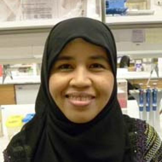 Arnida Anwar, Ph.D.