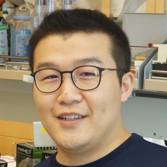 Nick Sun, Ph.D.