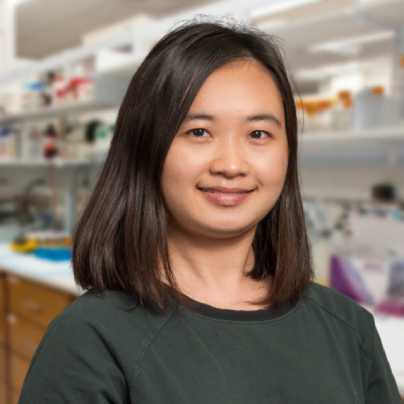 Qi Liu, Ph.D.