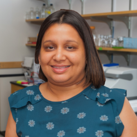 Amika Singla, Ph.D.