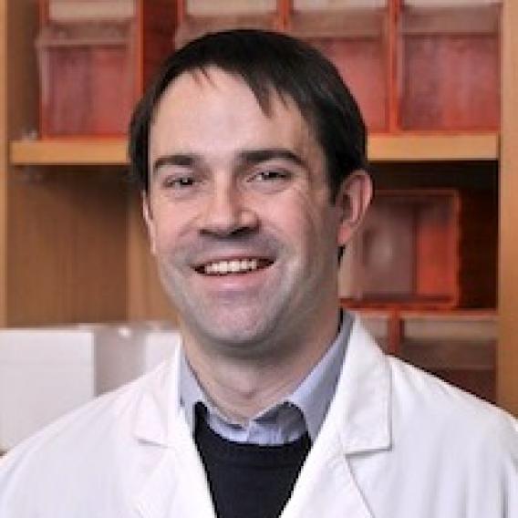 Patrick Taus, M.D., Ph.D.